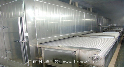 河南直線速凍通道冷庫(kù)安裝