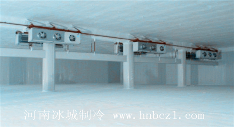 土建冷庫(kù)--性能好的冷庫(kù)