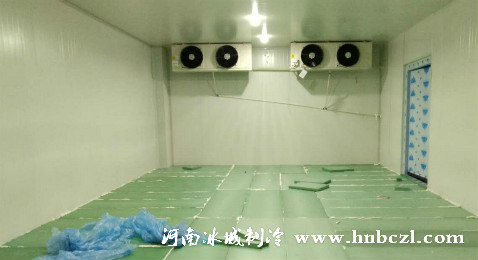 氣調(diào)保鮮冷庫(kù)安裝
